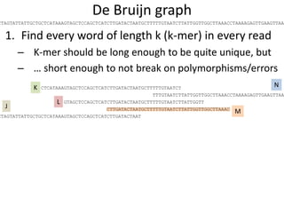De Bruijn graph
1. Find every word of length k (k-mer) in every read
– K-mer should be long enough to be quite unique, but
– … short enough to not break on polymorphisms/errors
TTTGTAATCTTATTGGTTGGCTTAAACCTAAAAGAGTTGAAGTTAA
CTCATAAAGTAGCTCCAGCTCATCTTGATACTAATGCTTTTTGTAATCT
GTAGCTCCAGCTCATCTTGATACTAATGCTTTTTGTAATCTTATTGGTT
CTTGATACTAATGCTTTTTGTAATCTTATTGGTTGGCTTAAAC
CTTGATACTAATGCTTTTTGTAATCTTAT
TTGATACTAATGCTTTTTGTAATCTTATT
TGATACTAATGCTTTTTGTAATCTTATTG
GATACTAATGCTTTTTGTAATCTTATTGG
ATACTAATGCTTTTTGTAATCTTATTGGT
TACTAATGCTTTTTGTAATCTTATTGGTT
ACTAATGCTTTTTGTAATCTTATTGGTTG
CTAATGCTTTTTGTAATCTTATTGGTTGG
TAATGCTTTTTGTAATCTTATTGGTTGGC
AATGCTTTTTGTAATCTTATTGGTTGGCT
ATGCTTTTTGTAATCTTATTGGTTGGCTT
TGCTTTTTGTAATCTTATTGGTTGGCTTA
GCTTTTTGTAATCTTATTGGTTGGCTTAA
CTTTTTGTAATCTTATTGGTTGGCTTAAA
TTTTTGTAATCTTATTGGTTGGCTTAAAC
K N
L
M
CTAGTATTATTGCTGCTCATAAAGTAGCTCCAGCTCATCTTGATACTAATGCTTTTTGTAATCTTATTGGTTGGCTTAAACCTAAAAGAGTTGAAGTTAA
CTAGTATTATTGCTGCTCATAAAGTAGCTCCAGCTCATCTTGATACTAAT
J
 