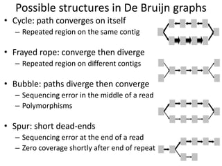 Possible structures in De Bruijn graphs
• Cycle: path converges on itself
– Repeated region on the same contig
• Frayed rope: converge then diverge
– Repeated region on different contigs
• Bubble: paths diverge then converge
– Sequencing error in the middle of a read
– Polymorphisms
• Spur: short dead-ends
– Sequencing error at the end of a read
– Zero coverage shortly after end of repeat
 