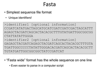 • Simplest sequence file format
• Unique identifiers!
• “Fasta wide” format has the whole sequence on one line
• Even easier to parse in a computer script
Fasta
>identifier1 [optional information]
CCGATCATATGACTAGCATGCATCGATCGATCGACTAGCATTT
AGAGCTACGATCAGCACTACACGCTTTGTATGATTGGCGGCGG
CTATTATATTGGGA
>identifier2 [optional information]
GAGAGCTACGATCAGAGCTACGATCAGCACTACACGCTTTGTA
TGATTGGCCCCCTATATTGGGACACGATCAGCACTACACGCTT
TGTATGATTGGCGGCGGCTATCCGATCAT
 