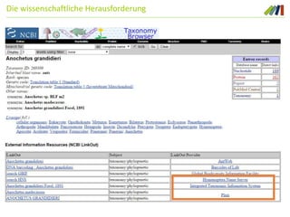 Die wissenschaftliche Herausforderung
 