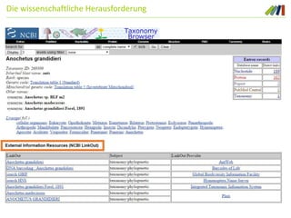 Die wissenschaftliche Herausforderung
 