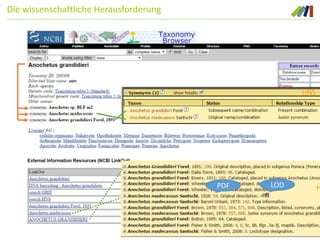 LODPDF
HNS
H
Die wissenschaftliche Herausforderung
 