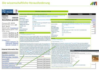 Die wissenschaftliche Herausforderung
 
