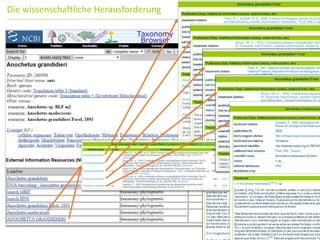 Die wissenschaftliche Herausforderung
 