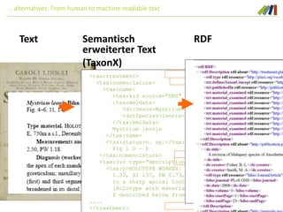 Text
<tax:treatment>
<tax:nomenclature>
<tax:name>
<tax:xid source="HNS" identifier="193329"/>
<tax:xmldata>
<dc:Genus>Mystrium</dc:Genus>
<dc:Species>leonie</dc:Species>
</tax:xmldata>
Mystrium leonie
</tax:name>
<tax:status>n. sp.</tax:status>
Fig 1 D - F
</tax:nomenclature>
<tax:div type="description">
<tax:p>HOLOTYPE WORKER: TL 3.95, HL 1.02, HW 0.95, CI
1.30, SI 137, PW 0.73, ML 0.38. Mandible outer margi
to a sharp apical tooth, the apex parallel to the an
(Holotype with material in mandibles, so mandibles a
$ described below from paratypes.) Median clypeus
....
</treatment>
Semantisch
erweiterter Text
(TaxonX)
… alternatives: From human to machine readable text
RDF
 