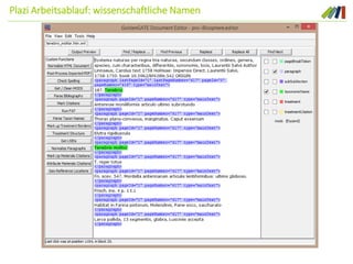 Plazi Arbeitsablauf: wissenschaftliche Namen
 