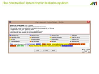 Plazi Arbeitsablauf: Datamining für Beobachtungsdaten
 