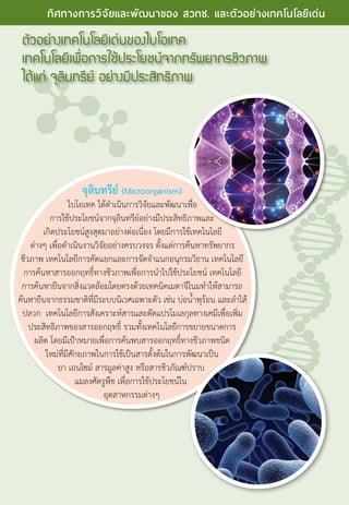 จุลินทรีย์ (Microorganism)
ไบโอเทค ได้ดำ�เนินการวิจัยและพัฒนาเพื่อ
การใช้ประโยชน์จากจุลินทรีย์อย่างมีประสิทธิภาพและ
เกิดประโยชน์สูงสุดมาอย่างต่อเนื่อง โดยมีการใช้เทคโนโลยี
ต่างๆ เพื่อดำ�เนินงานวิจัยอย่างครบวงจร ตั้งแต่การค้นหาทรัพยากร
ชีวภาพ เทคโนโลยีการคัดแยกและการจัดจำ�แนกอนุกรมวิธาน เทคโนโลยี
การค้นหาสารออกฤทธิ์ทางชีวภาพเพื่อการนำ�ไปใช้ประโยชน์ เทคโนโลยี
การค้นหายีนจากสิ่งแวดล้อมโดยตรงด้วยเทคนิคเมตาจีโนมทำ�ให้สามารถ
ค้นหายีนจากธรรมชาติที่มีระบบนิเวศเฉพาะตัว เช่น บ่อน้ำ�พุร้อน และลำ�ไส้
ปลวก  เทคโนโลยีการสังเคราะห์สารและดัดแปรโมเลกุลทางเคมีเพื่อเพิ่ม
ประสิทธิภาพของสารออกฤทธิ์ รวมทั้งเทคโนโลยีการขยายขนาดการ
ผลิต โดยมีเป้าหมายเพื่อการค้นพบสารออกฤทธิ์ทางชีวภาพชนิด
ใหม่ที่มีศักยภาพในการใช้เป็นสารตั้งต้นในการพัฒนาเป็น
ยา เอนไซม์ สารมูลค่าสูง หรือสารชีวภัณฑ์ปราบ
แมลงศัตรูพืช เพื่อการใช้ประโยชน์ใน
อุตสาหกรรมต่างๆ
ตัวอย่างเทคโนโลยีเด่นของไบโอเทค
เทคโนโลยีเพื่อการใช้ประโยชน์จากทรัพยากรชีวภาพ
ได้แก่ จุลินทรีย์ อย่างมีประสิทธิภาพ
10 The Power of RD
ทิศทางการวิจัยและพัฒนาของ สวทช. และตัวอย่างเทคโนโลยีเด่น
 