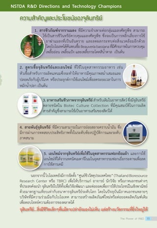 1. สารชีวภัณฑ์จากราแมลง ที่มีความจำ�เพาะต่อกลุ่มแมลงศัตรูพืช สามารถ
ใช้เป็นสารชีวินทรีย์ควบคุมแมลงศัตรูพืช ซึ่งจะเป็นการหลีกเลี่ยงการใช้
ยาฆ่าแมลงที่เป็นอันตราย และลดผลกระทบต่อสิ่งแวดล้อมอีกด้วย
โดยไบโอเทคได้ค้นพบเชื้อBeauveriabassianaที่มีศักยภาพในการควบคุม
เพลี้ยอ่อน เพลี้ยแป้ง และเพลี้ยกระโดดสีน้ำ�ตาล  เป็นต้น
2. สูตรเชื้อจุลินทรีย์และเอนไซม์ ที่ใช้ในอุตสาหกรรมอาหาร เช่น
หัวเชื้อสำ�หรับการผลิตแหนมซึ่งจะทำ�ให้อาหารมีคุณภาพสม่ำ�เสมอและ
ปลอดภัยกับผู้บริโภค หรือประยุกต์การใช้เอนไซม์เพื่อลดระยะเวลาในการ
หมักน้ำ�ปลา เป็นต้น
3.อาหารเสริมชีวภาพจากจุลินทรีย์สำ�หรับเติมในอาหารสัตว์ซึ่งมีจุลินทรีย์
หลายชนิดใน Biotec Culture Collection ที่มีคุณสมบัติในการผลิต
สารสำ�คัญซึ่งสามารถใช้เป็นอาหารเสริมของสัตว์ได้
5. เอนไซม์จากจุลินทรีย์เพื่อใช้ในอุตสาหกรรมฟอกย้อมผ้า และการใช้
เอนไซม์ที่ได้จากเทคนิคเมตาจีโนมในอุตสาหกรรมฟอกเยื่อกระดาษเพื่อลด
การใช้สารเคมี
4. สายพันธุ์จุลินทรีย์ ที่มีความสามารถในการย่อยสลายคราบน้ำ�มัน ซึ่ง
มีการผ่านการทดสอบประสิทธิภาพทั้งในระดับห้องปฏิบัติการและระดับ
ภาคสนาม
	 นอกจากนี้ไบโอเทคยังมีการจัดตั้ง“ศูนย์ชีววัสดุประเทศไทย”(ThailandBioresource
Research Center หรือ TBRC) เพื่อให้บริการแก่ อาจารย์ นักวิจัย หรือภาคเอกชนต่างๆ
ที่ประสงค์จะนำ� จุลินทรีย์ไปใช้ทั้งเพื่อวิจัยพัฒนา และต่อยอดเพื่อการใช้ประโยชน์ในเชิงพาณิชย์
ด้วยมาตรฐานเทียบเท่ากับธนาคารจุลินทรีย์ระดับโลก โดยในปัจจุบันมีภาคเอกชนหลายๆ
บริษัทที่มีความร่วมมือกับไบโอเทค สามารถสร้างผลิตภัณฑ์ใหม่หรือต่อยอดผลิตภัณฑ์เดิม
เพื่อตอบโจทย์ความต้องการของตลาดได้
ความสำ�คัญและประโยชน์ของจุลินทรีย์
จุลินทรีย์...สิ่งมีชีวิตเล็กๆที่แม้ตาเปล่ายังมองไม่เห็น แต่สร้างนวัตกรรมที่ยิ่งใหญ่ได้
The Power of RD 11
NSTDA RD Directions and Technology Champions
 