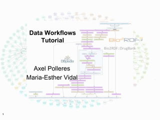 1
Data Workflows
Tutorial
Axel Polleres
Maria-Esther Vidal
 