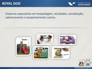 ROYAL DOG
Empresa especialista em hospedagem, atividades, socialização,
adestramento e comportamento canino.
Socialização
Creche
Serviços
Veterinários
Adestramento
Hotel
02
 
