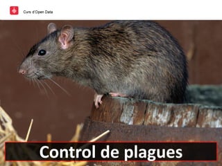 Control de plagues
 