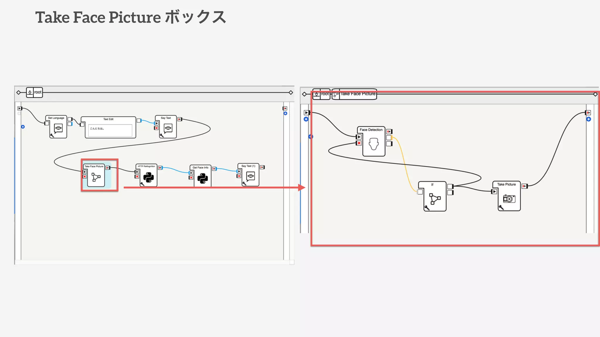 Take Face Picture ボックス
 