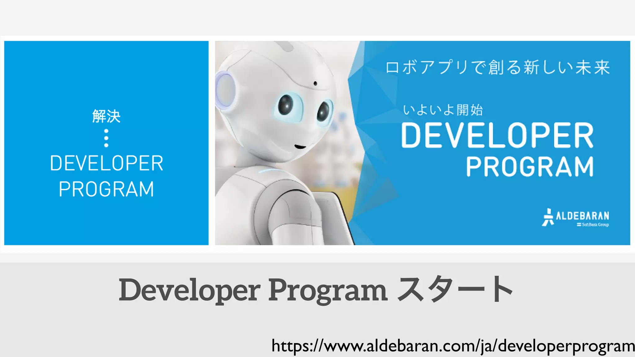 Developer Program スタート
https://www.aldebaran.com/ja/developerprogram
 