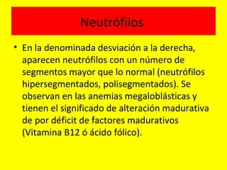 Neutrófilos
• En la denominada desviación a la derecha,
aparecen neutrófilos con un número de
segmentos mayor que lo normal (neutrófilos
hipersegmentados, polisegmentados). Se
observan en las anemias megaloblásticas y
tienen el significado de alteración madurativa
de por déficit de factores madurativos
(Vitamina B12 ó ácido fólico).
 