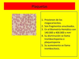 Plaquetas
1. Provienen de los
megacariocitos.
2. Son fragmentos anucleados.
3. En el Biometría Hemática son
140.000 a 400.000 x mm3.
4. Su disminución se llama
trombocitopenia o
plaquetopenia
5. Su aumemento se llama
trombocitosis.
 