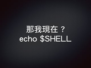 那我現在 ?
echo $SHELL
 