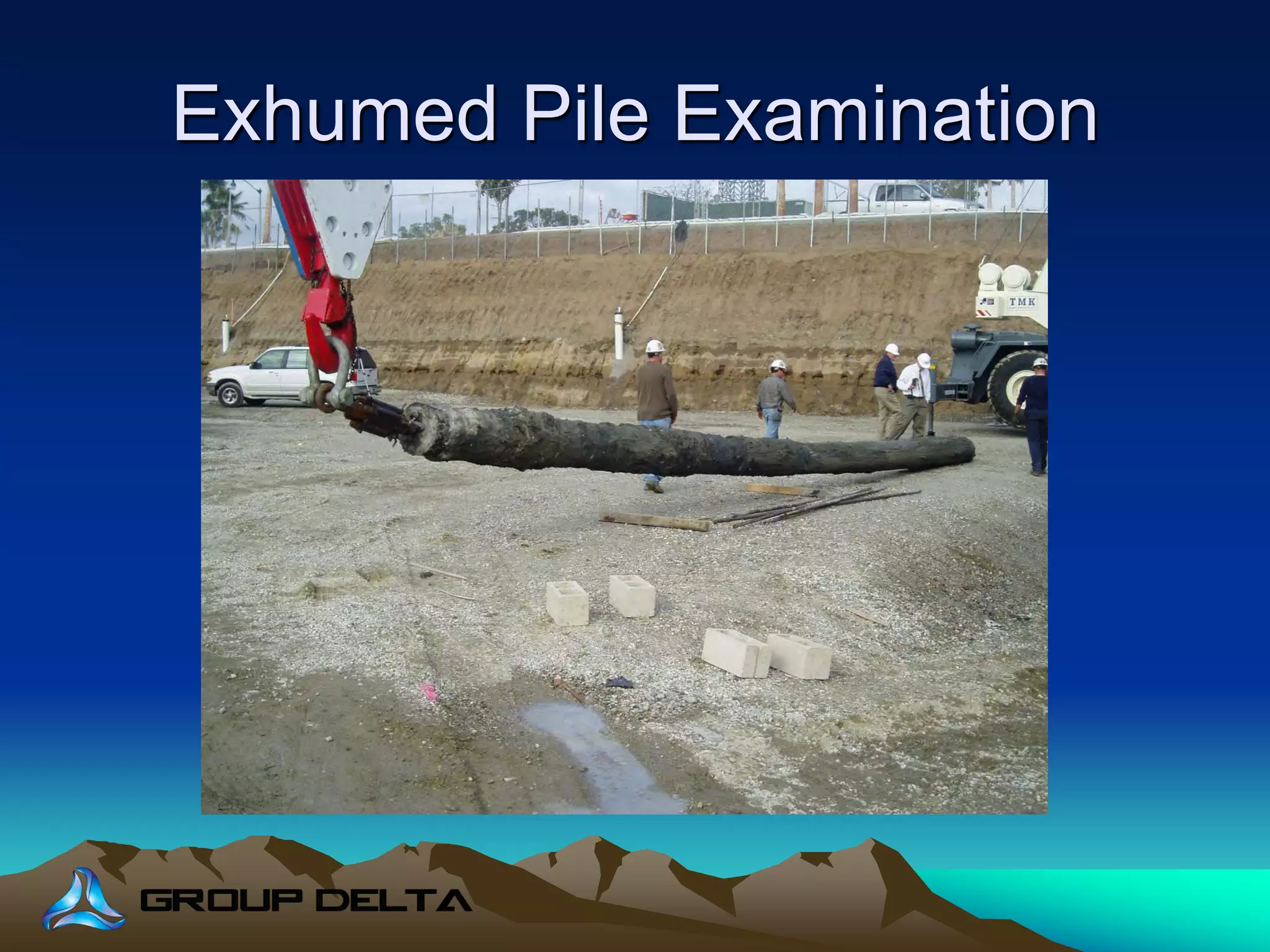 Exhumed Pile Examination
 