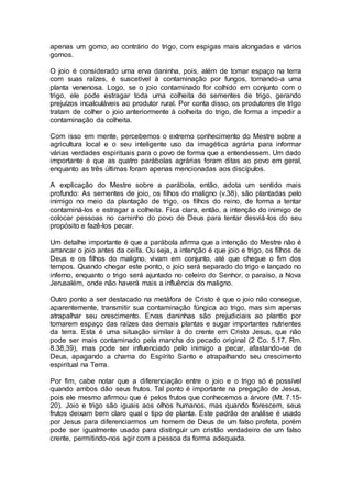 apenas um gomo, ao contrário do trigo, com espigas mais alongadas e vários
gomos.
O joio é considerado uma erva daninha, pois, além de tomar espaço na terra
com suas raízes, é suscetível à contaminação por fungos, tornando-a uma
planta venenosa. Logo, se o joio contaminado for colhido em conjunto com o
trigo, ele pode estragar toda uma colheita de sementes de trigo, gerando
prejuízos incalculáveis ao produtor rural. Por conta disso, os produtores de trigo
tratam de colher o joio anteriormente à colheita do trigo, de forma a impedir a
contaminação da colheita.
Com isso em mente, percebemos o extremo conhecimento do Mestre sobre a
agricultura local e o seu inteligente uso da imagética agrária para informar
várias verdades espirituais para o povo de forma que a entendessem. Um dado
importante é que as quatro parábolas agrárias foram ditas ao povo em geral,
enquanto as três últimas foram apenas mencionadas aos discípulos.
A explicação do Mestre sobre a parábola, então, adota um sentido mais
profundo: As sementes de joio, os filhos do maligno (v.38), são plantadas pelo
inimigo no meio da plantação de trigo, os filhos do reino, de forma a tentar
contaminá-los e estragar a colheita. Fica clara, então, a intenção do inimigo de
colocar pessoas no caminho do povo de Deus para tentar desviá-los do seu
propósito e fazê-los pecar.
Um detalhe importante é que a parábola afirma que a intenção do Mestre não é
arrancar o joio antes da ceifa. Ou seja, a intenção é que joio e trigo, os filhos de
Deus e os filhos do maligno, vivam em conjunto, até que chegue o fim dos
tempos. Quando chegar este ponto, o joio será separado do trigo e lançado no
inferno, enquanto o trigo será ajuntado no celeiro do Senhor, o paraíso, a Nova
Jerusalém, onde não haverá mais a influência do maligno.
Outro ponto a ser destacado na metáfora de Cristo é que o joio não consegue,
aparentemente, transmitir sua contaminação fúngica ao trigo, mas sim apenas
atrapalhar seu crescimento. Ervas daninhas são prejudiciais ao plantio por
tomarem espaço das raízes das demais plantas e sugar importantes nutrientes
da terra. Esta é uma situação similar à do crente em Cristo Jesus, que não
pode ser mais contaminado pela mancha do pecado original (2 Co. 5.17, Rm.
8.38,39), mas pode ser influenciado pelo inimigo a pecar, afastando-se de
Deus, apagando a chama do Espírito Santo e atrapalhando seu crescimento
espiritual na Terra.
Por fim, cabe notar que a diferenciação entre o joio e o trigo só é possível
quando ambos dão seus frutos. Tal ponto é importante na pregação de Jesus,
pois ele mesmo afirmou que é pelos frutos que conhecemos a árvore (Mt. 7.15-
20). Joio e trigo são iguais aos olhos humanos, mas quando florescem, seus
frutos deixam bem claro qual o tipo de planta. Este padrão de análise é usado
por Jesus para diferenciarmos um homem de Deus de um falso profeta, porém
pode ser igualmente usado para distinguir um cristão verdadeiro de um falso
crente, permitindo-nos agir com a pessoa da forma adequada.
 