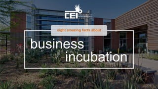 eight amazing facts about
business
incubation
 