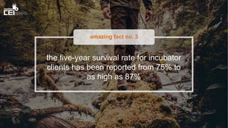 amazing fact no. 3
the five-year survival rate for incubator
clients has been reported from 75% to
as high as 87%
 