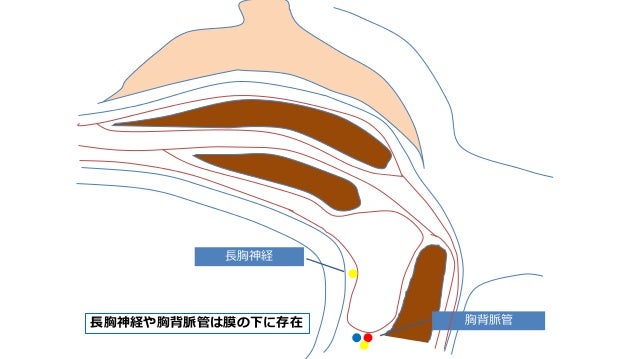 1508大阪 1508大阪