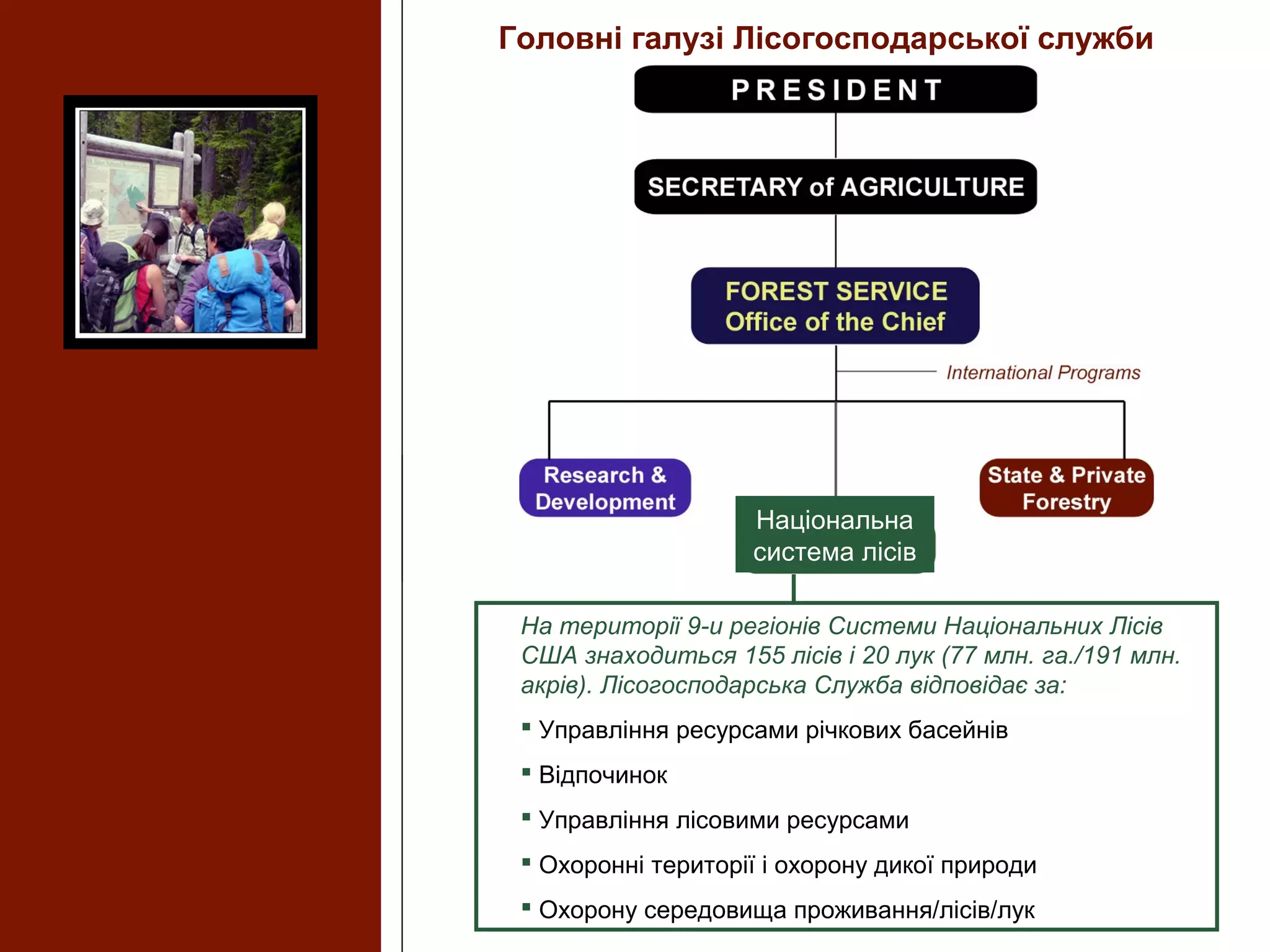 На території 9-и регіонів Системи Національних Лісів
США знаходиться 155 лісів і 20 лук (77 млн. га./191 млн.
акрів). Лісогосподарська Служба відповідає за:
 Управління ресурсами річкових басейнів
 Відпочинок
 Управління лісовими ресурсами
 Охоронні території і охорону дикої природи
 Охорону середовища проживання/лісів/лук
Головні галузі Лісогосподарської служби
Національна
система лісів
 