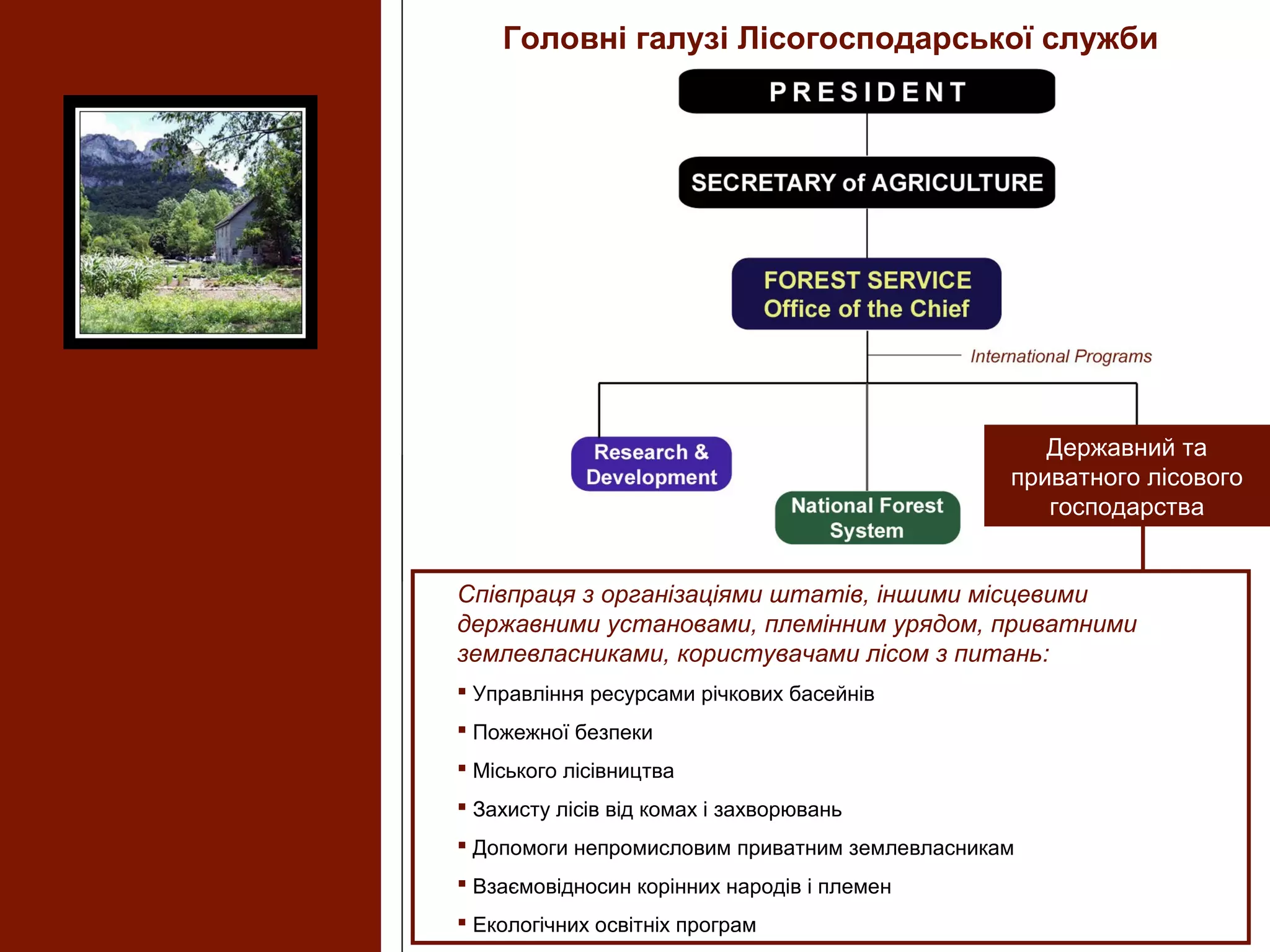 Співпраця з організаціями штатів, іншими місцевими
державними установами, племінним урядом, приватними
землевласниками, користувачами лісом з питань:
 Управління ресурсами річкових басейнів
 Пожежної безпеки
 Міського лісівництва
 Захисту лісів від комах і захворювань
 Допомоги непромисловим приватним землевласникам
 Взаємовідносин корінних народів і племен
 Екологічних освітніх програм
Головні галузі Лісогосподарської служби
Державний та
приватного лісового
господарства
 