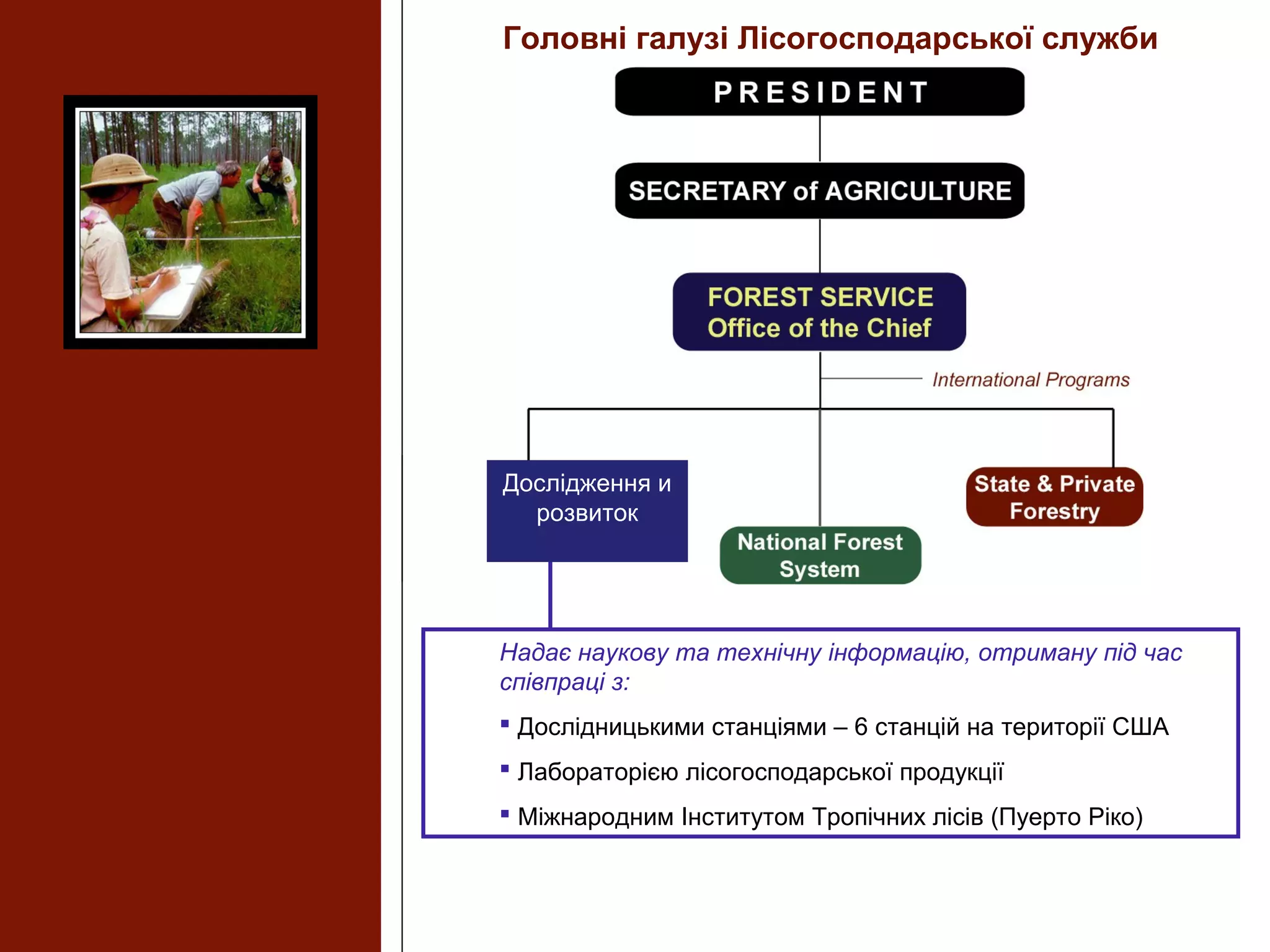 Надає наукову та технічну інформацію, отриману під час
співпраці з:
 Дослідницькими станціями – 6 станцій на території США
 Лабораторією лісогосподарської продукції
 Міжнародним Інститутом Тропічних лісів (Пуерто Ріко)
Головні галузі Лісогосподарської служби
Дослідження и
розвиток
 