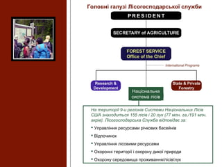 На території 9-и регіонів Системи Національних Лісів
США знаходиться 155 лісів і 20 лук (77 млн. га./191 млн.
акрів). Лісогосподарська Служба відповідає за:
 Управління ресурсами річкових басейнів
 Відпочинок
 Управління лісовими ресурсами
 Охоронні території і охорону дикої природи
 Охорону середовища проживання/лісів/лук
Головні галузі Лісогосподарської служби
Національна
система лісів
 