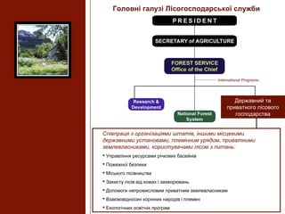 Співпраця з організаціями штатів, іншими місцевими
державними установами, племінним урядом, приватними
землевласниками, користувачами лісом з питань:
 Управління ресурсами річкових басейнів
 Пожежної безпеки
 Міського лісівництва
 Захисту лісів від комах і захворювань
 Допомоги непромисловим приватним землевласникам
 Взаємовідносин корінних народів і племен
 Екологічних освітніх програм
Головні галузі Лісогосподарської служби
Державний та
приватного лісового
господарства
 