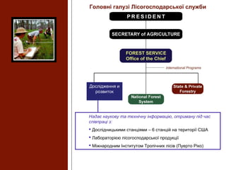 Надає наукову та технічну інформацію, отриману під час
співпраці з:
 Дослідницькими станціями – 6 станцій на території США
 Лабораторією лісогосподарської продукції
 Міжнародним Інститутом Тропічних лісів (Пуерто Ріко)
Головні галузі Лісогосподарської служби
Дослідження и
розвиток
 