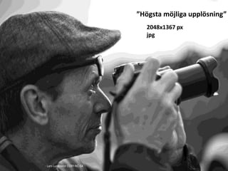 - Lars Lundqvist CCBY-NC-SA
2048x1367 px
jpg
”Högsta möjliga upplösning”
 