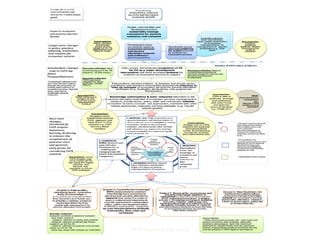 Steff Deprez (June 2015)
 