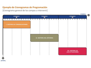 Ejemplo de Cronogramas de Programación
[Cronograma general de los campos a intervenir]
 