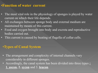 canal system | PPTX