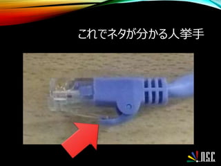 これでネタが分かる人挙手
 