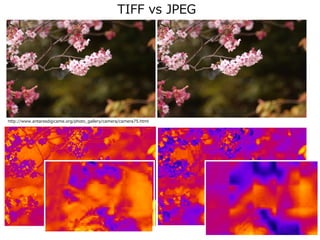 http://www.antaresdigicame.org/photo_gallery/camera/camera75.html
TIFF vs JPEG
 