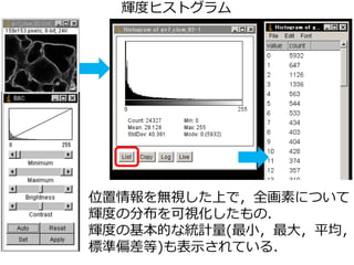 輝度ヒストグラム
位置情報を無視した上で，全画素について
輝度の分布を可視化したもの．
輝度の基本的な統計量(最小，最大，平均，
標準偏差等)も表示されている．
 