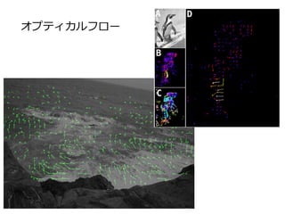 オプティカルフロー
 