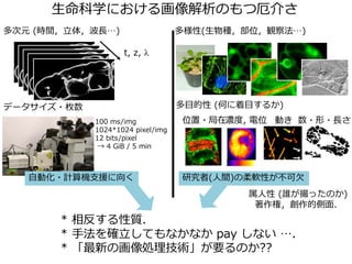 生命科学における画像解析のもつ厄介さ
多次元 (時間，立体，波長…)
データサイズ・枚数
自動化・計算機支援に向く
* 相反する性質．
* 手法を確立してもなかなか pay しない …．
* 「最新の画像処理技術」が要るのか??
多様性(生物種，部位，観察法…)
多目的性 (何に着目するか)
研究者(人間)の柔軟性が不可欠
数・形・長さ100 ms/img
1024*1024 pixel/img
12 bits/pixel
→ 4 GiB / 5 min
動き濃度, 電位
t, z, λ
位置・局在
属人性 (誰が撮ったのか)
著作権，創作的側面．
 