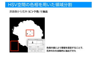 HSV空間の色相を用いた領域分割
原画像から花弁 (ピンク色) を抽出
色相の値により閾値を設定することで，
花弁のみを自動的に抽出できた
 
