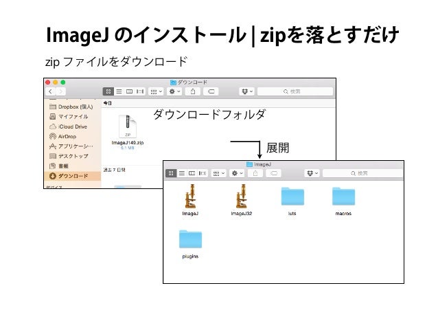 Imagejのインストールとデータのダウンロード