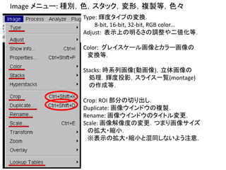 Image メニュー: 種別，色，スタック，変形，複製等，色々
Type: 輝度タイプの変換．
8-bit, 16-bit, 32-bit, RGB color...
Adjust: 表示上の明るさの調整や二値化等．
Color: グレイスケール画像とカラー画像の
変換等．
Stacks: 時系列画像(動画像)，立体画像の
処理．輝度投影，スライス一覧(montage)
の作成等．
Crop: ROI 部分の切り出し．
Duplicate: 画像ウインドウの複製．
Rename: 画像ウインドウのタイトル変更．
Scale: 画像解像度の変更．つまり画像サイズ
の拡大・縮小．
※表示の拡大・縮小と混同しないよう注意．
 