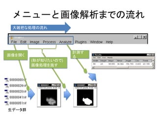 メニューと画像解析までの流れ
大雑把な処理の流れ
生データ群
画像を開く
(形が知りたいので)
画像処理を施す
計測す
る
 