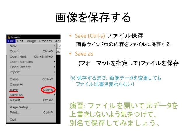Imagejを使った画像解析実習 起動 終了とファイルの入出力