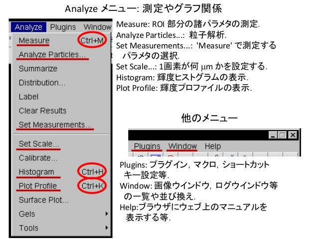 Imagejを使った画像解析実習 起動 終了とファイルの入出力