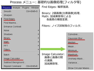 Imagej 画像 輪郭 – Imagej Fiji : Pythonで細胞数のカウント – GFEQY