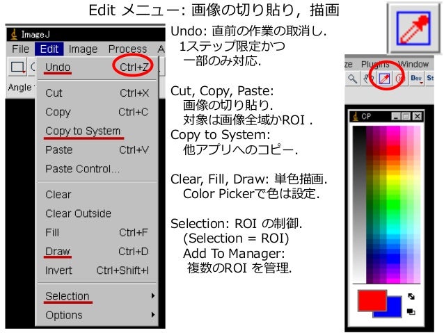 Imagejを使った画像解析実習 2値化 領域抽出