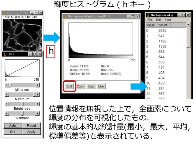 Imagejを使った画像解析実習 2値化 領域抽出